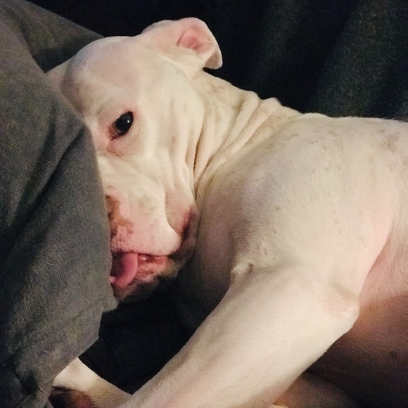 Meet your Posher, Janel - Picture 1 of 1